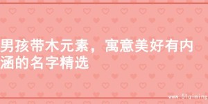 男孩带木元素，寓意美好有内涵的名字精选