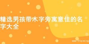 精选男孩带木字旁寓意佳的名字大全