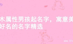 火木属性男孩起名字，寓意美好好名的名字精选