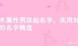 土木属性男孩起名字，实用好名的名字精选