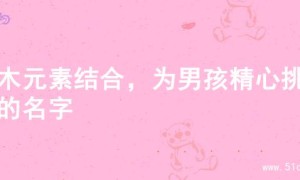 金木元素结合，为男孩精心挑选的名字