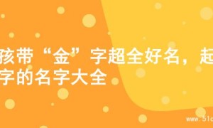 男孩带“金”字超全好名，起名字的名字大全