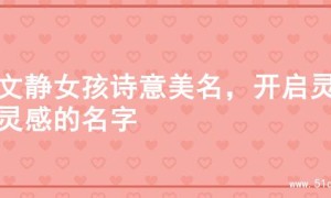 寻文静女孩诗意美名，开启灵动灵感的名字