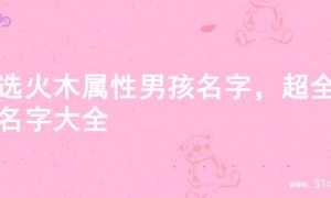 精选火木属性男孩名字，超全的名字大全