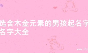 精选含木金元素的男孩起名字的名字大全