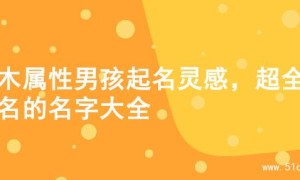 金木属性男孩起名灵感，超全好名的名字大全