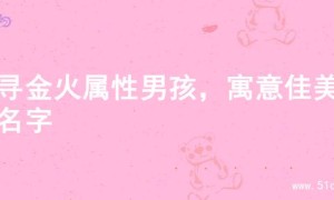 探寻金火属性男孩，寓意佳美的名字