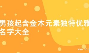 为男孩起含金木元素独特优雅的名字大全