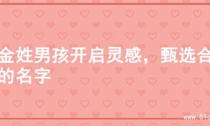 为金姓男孩开启灵感，甄选合适的名字