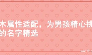金木属性适配，为男孩精心挑选的名字精选