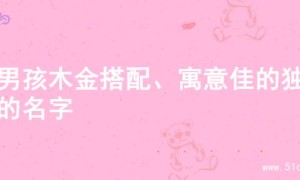 寻男孩木金搭配、寓意佳的独特的名字