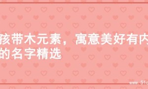 男孩带木元素，寓意美好有内涵的名字精选