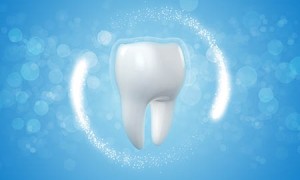 属猪女孩名字大全